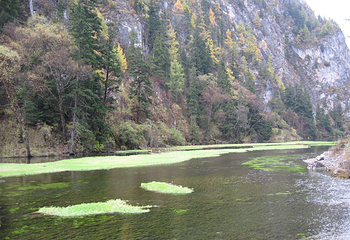 九寨沟风景区第 491 张图片