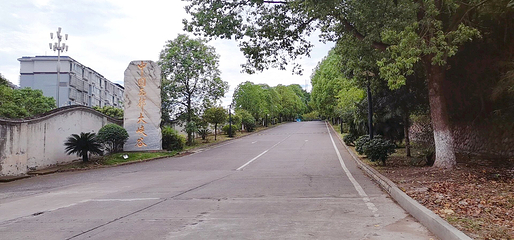 西部大峡谷第 4 张图片