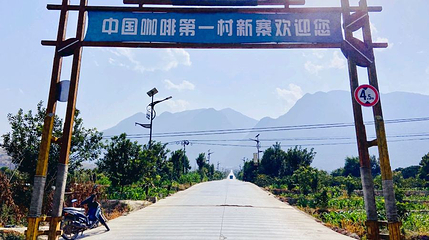 新寨万亩咖啡园景区第 1 张图片