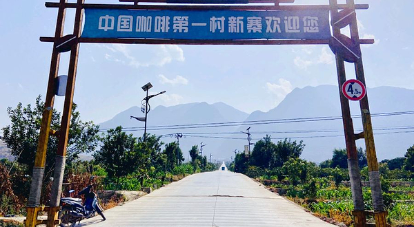 隆阳区新寨万亩咖啡园景区