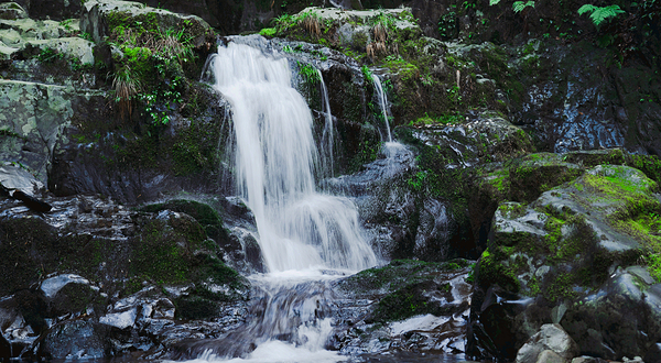 千岛湖红山谷景区