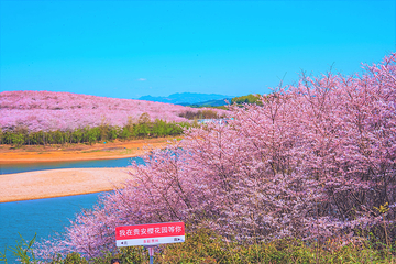 平坝农场第 6 张图片