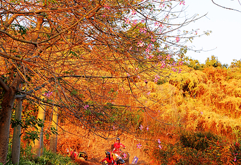清远静山湖景区第 62 张图片
