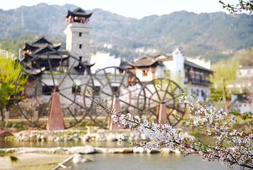 锦鲤土司城第 28 张图片