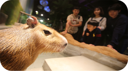 ZoolungZoolung萌宠游乐园(上海第一八佰伴店)第 9 张图片