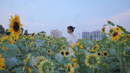 千花洲生态景区第 81 张图片