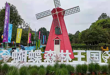 蝴蝶森林王国第 6 张图片