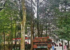 金城山森林公园