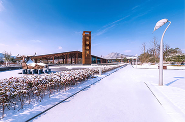 牛首山文化旅游区第 48 张图片