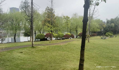 麻山双月湾湿地公园第 1 张图片