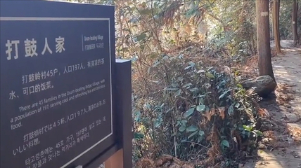 打鼓岭第 16 张图片