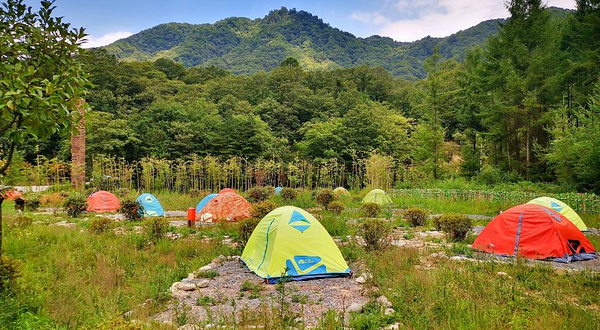米仓山旅游景区-大坝森林公园
