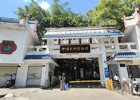 中国彩灯博物馆