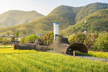 余村第 5 张图片