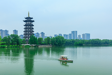 洋湖湿地公园第 19 张图片