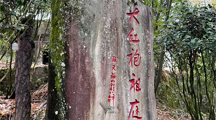 大红袍祖庭第 1 张图片