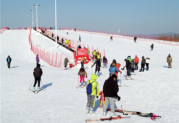 太阳岛冰雪大世界第 24 张图片