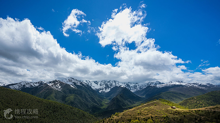 白马雪山垭口第 6 张图片