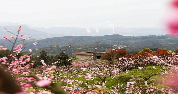 七星山镜湖桃源