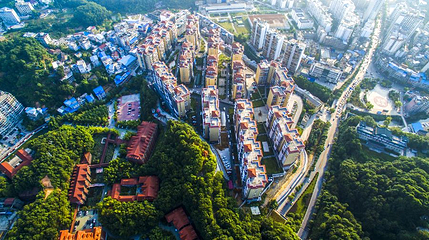 凤凰山森林公园第 1 张图片