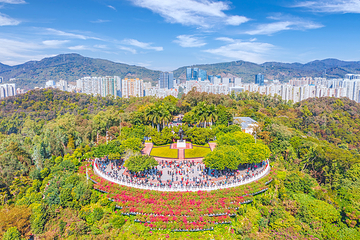 莲花山公园第 4 张图片