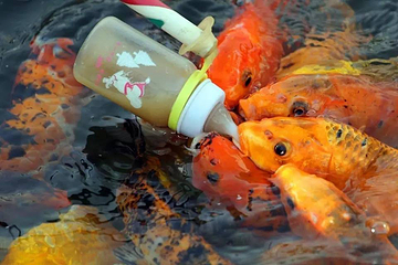 董永七仙女文化园第 3 张图片