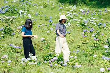 鹿野花塔第 6 张图片