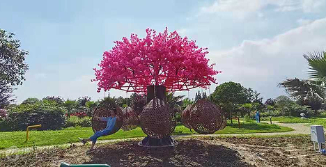 花样年画·时光里第 4 张图片