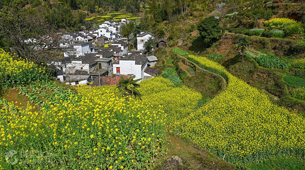 汪槎村第 3 张图片