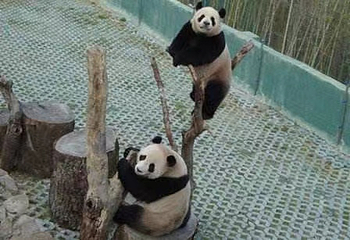 长屿硐天第 47 张图片
