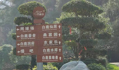 白鹿春风景区第 1 张图片