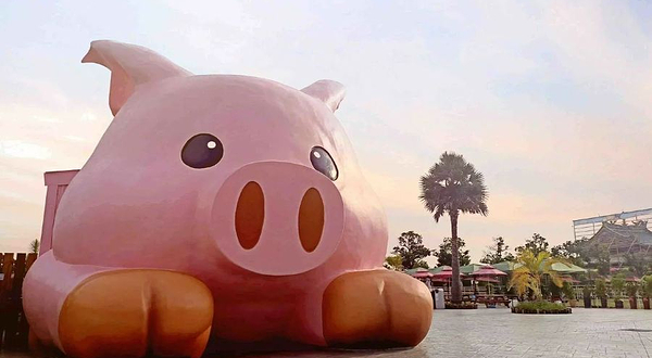 三只小猪观光农场