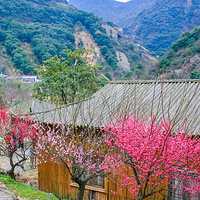 宁波九峰山景区