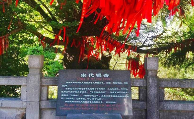 紫溪山风景区第 1 张图片