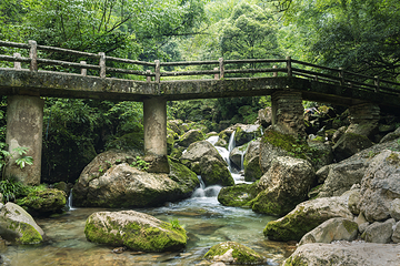 青城山第 368 张图片