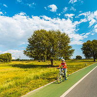 赛汗塔拉城中草原