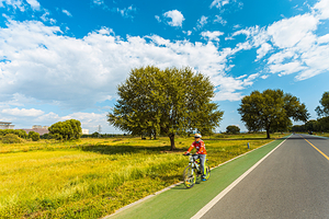 赛汗塔拉城中草原