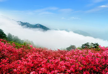 龟峰山景区第 16 张图片