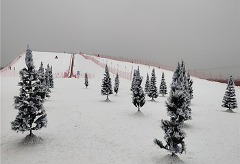 红海·七星雪滑雪场第 6 张图片