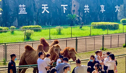 武汉九峰森林动物园第 13 张图片