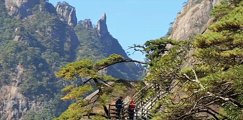 三清山-万寿园第 3 张图片
