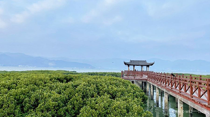 红树林景区第 1 张图片