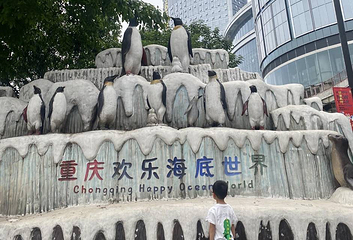 重庆欢乐海底世界第 1 张图片