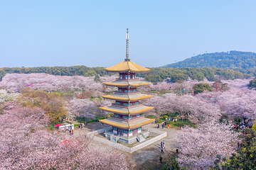 东湖磨山景区第 9 张图片