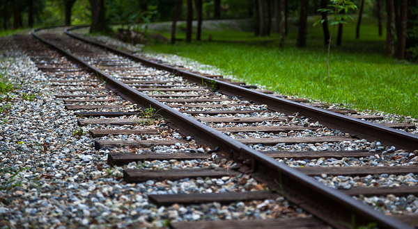 林田山林业文化园区