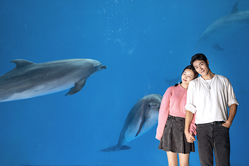 海合安成都极地海洋公园第 139 张图片