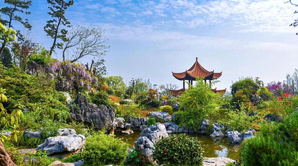 青岚湖湿地公园第 1 张图片