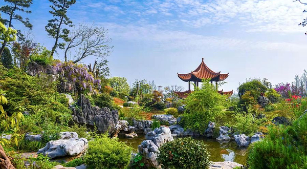 青岚湖湿地公园