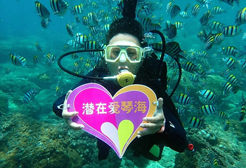 亚龙湾爱琴海PADI潜水度假村第 54 张图片