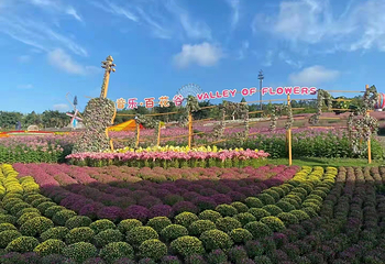 音乐百花谷第 60 张图片